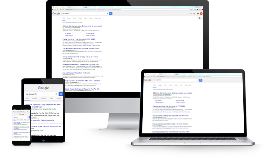 SEO Management Services